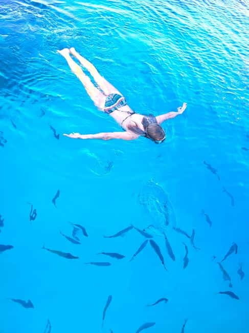 Tour bateau avec vision sous-marine/Sites classés+Baignade - FAQs