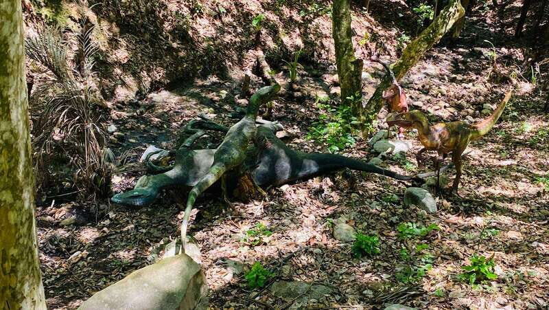 Tour "Bioparque Estrella", With transfer, Safari and tickets - FAQs