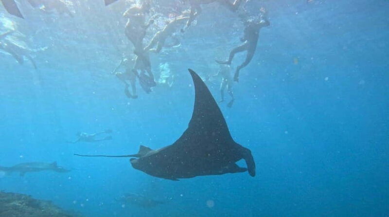 tour-broken-beach-angel-billabong-snorkeling-four-spot