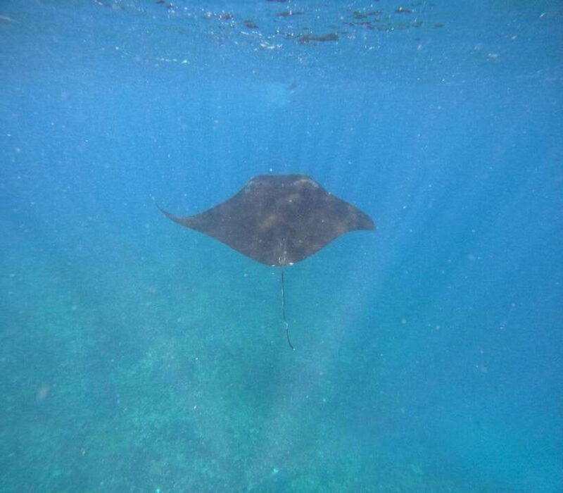 tour-broken-beach-angel-billabong-snorkeling-four-spot