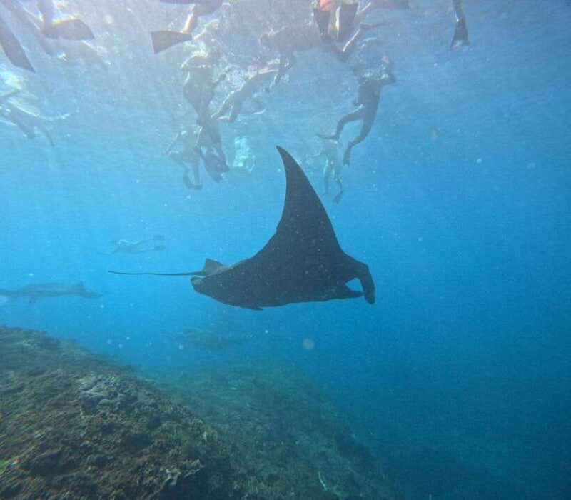tour-broken-beach-angel-billabong-snorkeling-four-spot