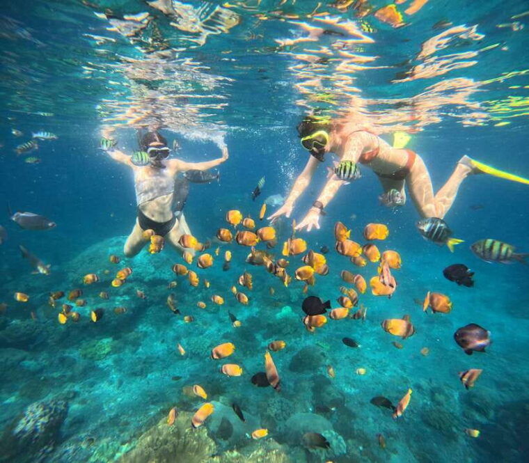 tour-broken-beach-angel-billabong-snorkeling-four-spot