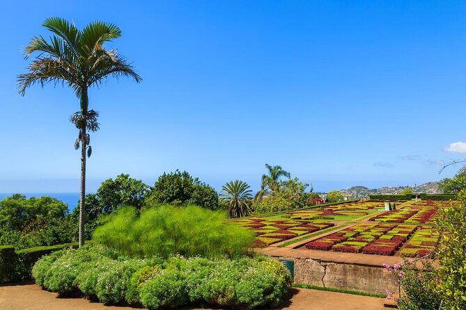 Tour Cable Car Toboggan Tropical Garden and Skywalk - Key Points