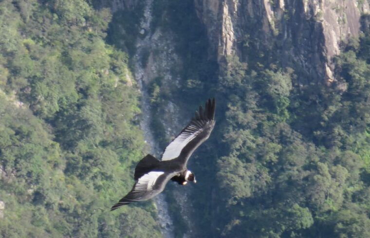 tour-colca-canyon-2-days-from-arequipa-with-1-night-in-colca