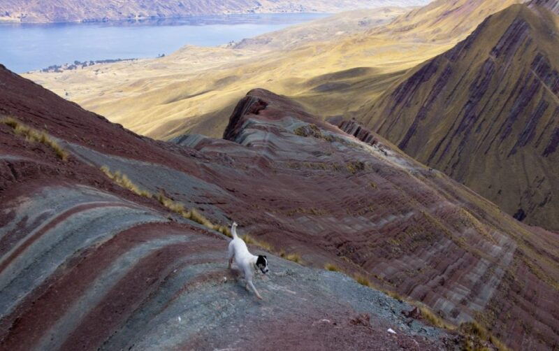 tour-cusco-pallay-poncho-of-apu-tacllo