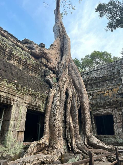 tour-de-friends-discover-angkor-wat-full-day-bike-tour