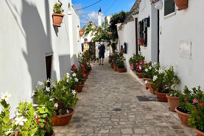 Tour di Alberobello & Guida a Matera, from bari - Practical Details and Value  