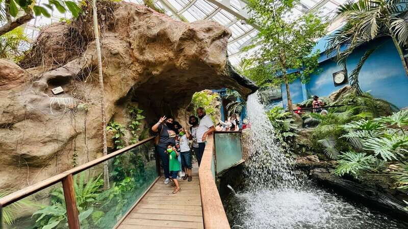 TOUR: "Dinosaur museum" with guide, transfer and tickets - Key Points