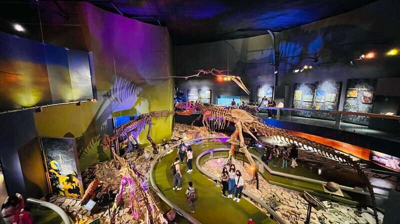TOUR: "Dinosaur museum" with guide, transfer and tickets - A Complete Look at the Dinosaur Museum Tour Experience