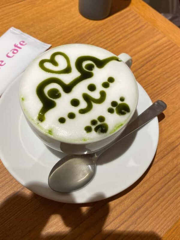 Tour en español: guía de los Maid Café (con traducción) - Who Should Consider This Tour?