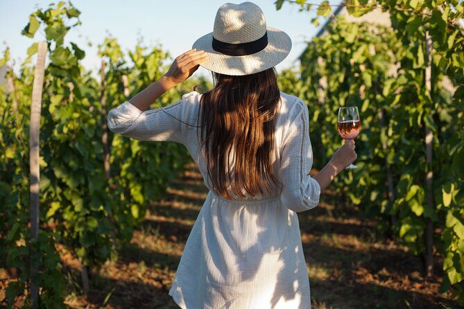 Tour Etna & Wine Tasting - Key Points  