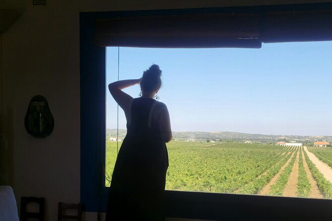 tour-evora-with-2-tasting-of-wines-from-the-region