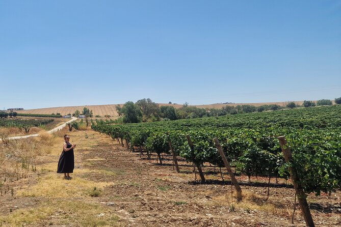 tour-evora-with-2-tasting-of-wines-from-the-region