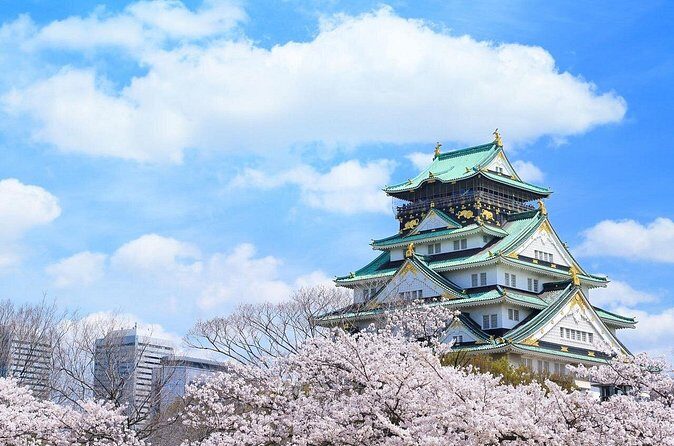 Tour Famous Spots in Osaka by Private Car - FAQ