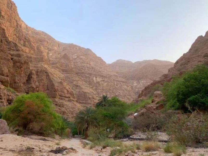 Tour Fatimah-2 Day 1 Night in Ras Al Hadd,Oman Tours Package - Key Points