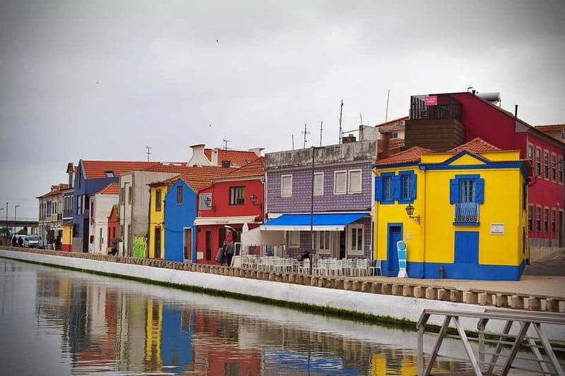 Tour from Lisbon: Aveiro, Coimbra, Conímbriga, and the Palace of Bussaco - The Sum Up