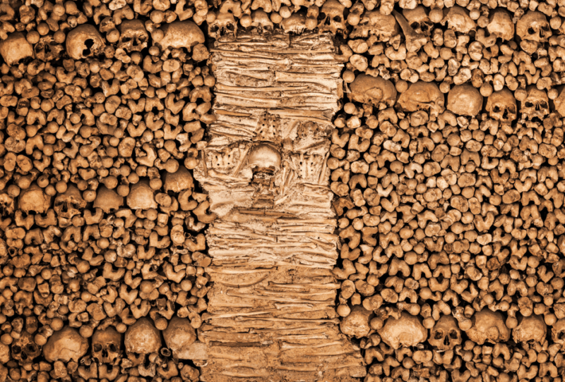 tour-from-lisbon-evora-and-alentejo-wines