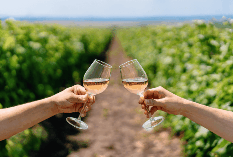 tour-from-lisbon-evora-and-alentejo-wines