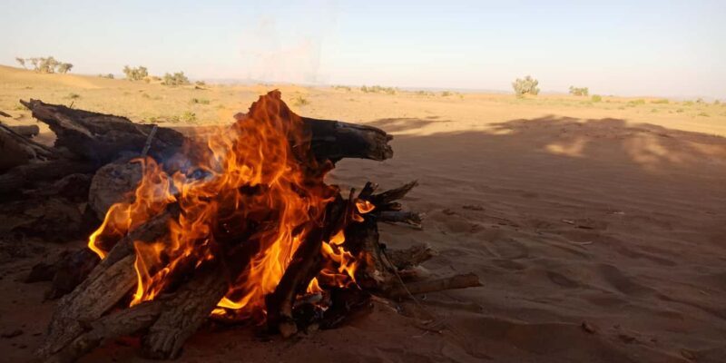 Tour from M'hamid to Erg Zahar & Erg Chegaga by 4x4 - 4-day - Exploring the Itinerary in Detail