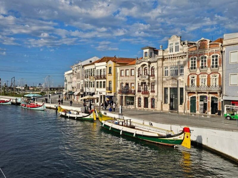 tour-from-oporto-to-aveiro-moliceiro-cruise-and-visit-to-vista-alegre
