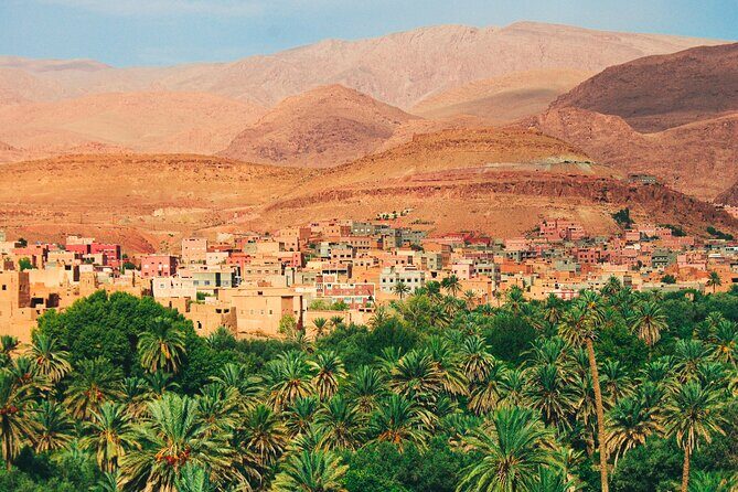 Tour from Ouarzazate to Vallee Du Draa and Dunes Of Tinfou - Practical Tips and Considerations