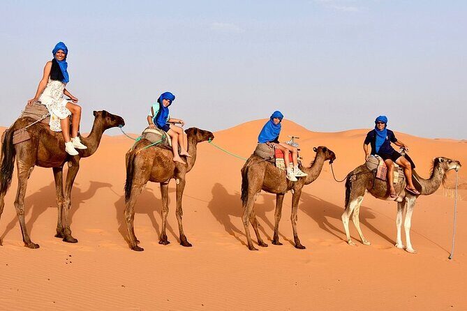 Tour from Ouarzazate to Vallee Du Draa and Dunes Of Tinfou - Is This Tour Right for You?