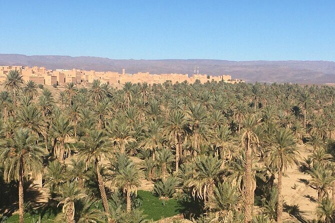 Tour from Ouarzazate to Vallee Du Draa and Dunes Of Tinfou - FAQ