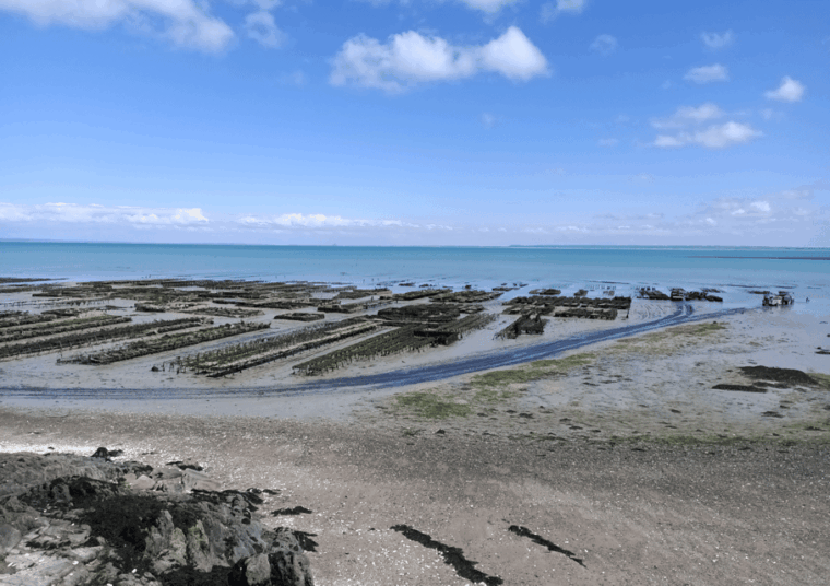 tour-from-rennes-mont-saint-michel-cancale-saint-malo