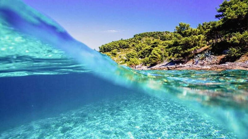 Tour from Split to Brac - Full Day Tour - The Perfect Tour for…