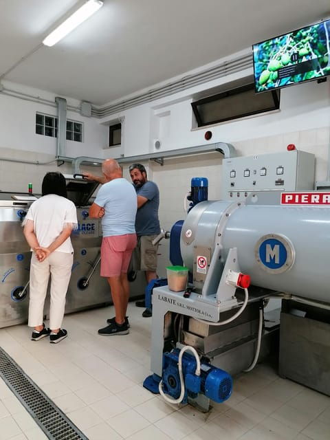 tour-from-the-earth-to-the-oil-with-sunset-tasting