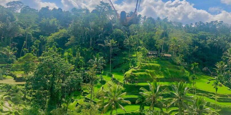 tour-full-day-ubud-water-fallcoffe-atvand-rice-paddy