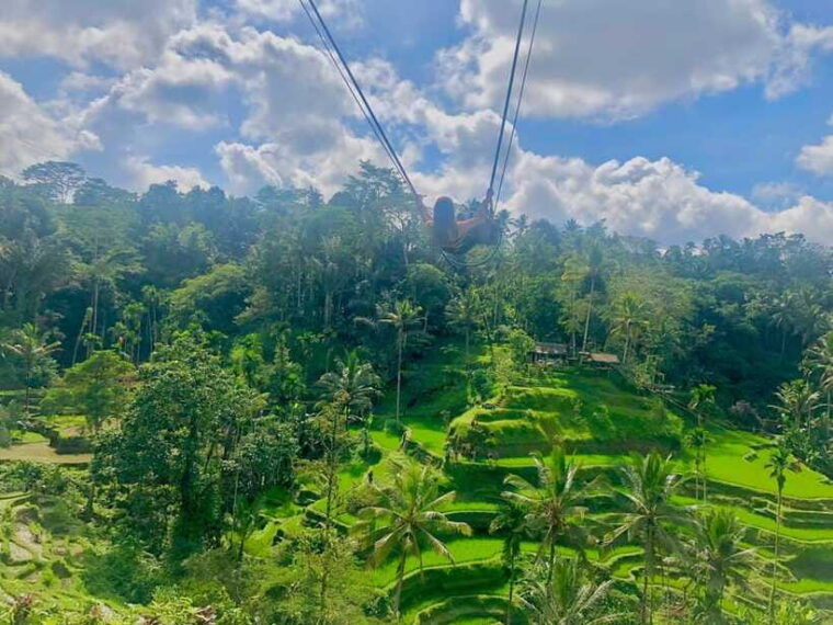 tour-full-day-ubud-water-fallcoffe-atvand-rice-paddy