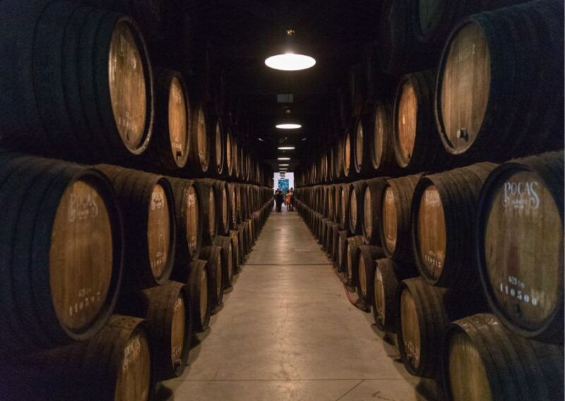 tour-gastronomic-experience-carpaccio-salmon-cheeses