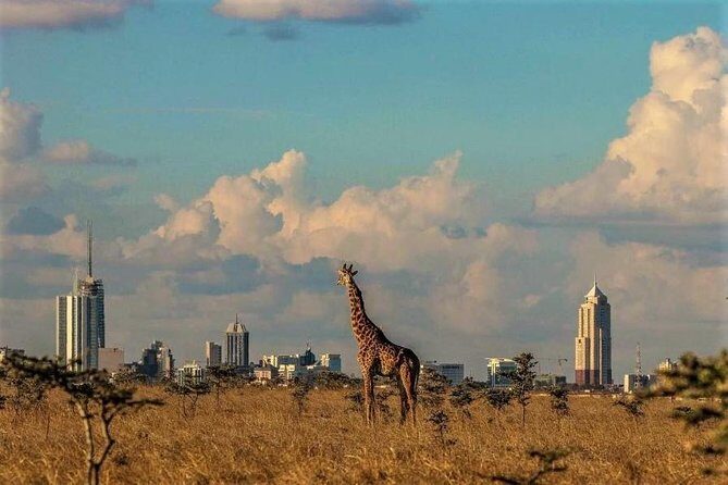 Tour: Giraffe Center and Nairobi National Park - Who Will Love This Tour?