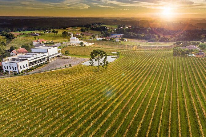 tour-gran-reserva-valley-of-the-vineyards