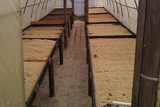 tour-guatape-and-coffee