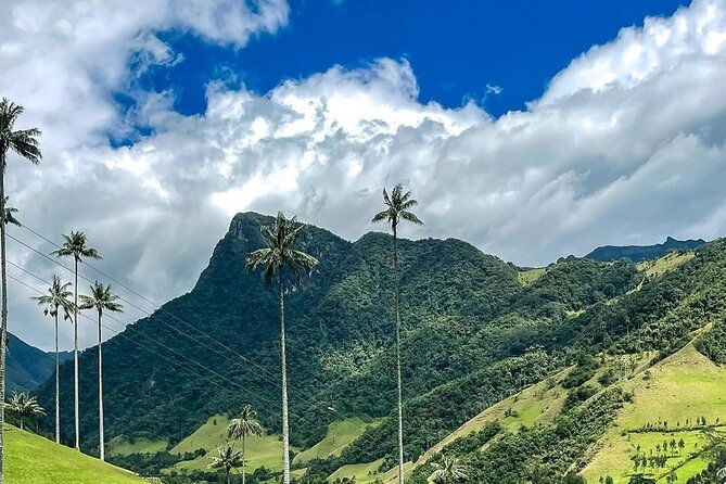 tour-hill-morrogacho-cocora-valley