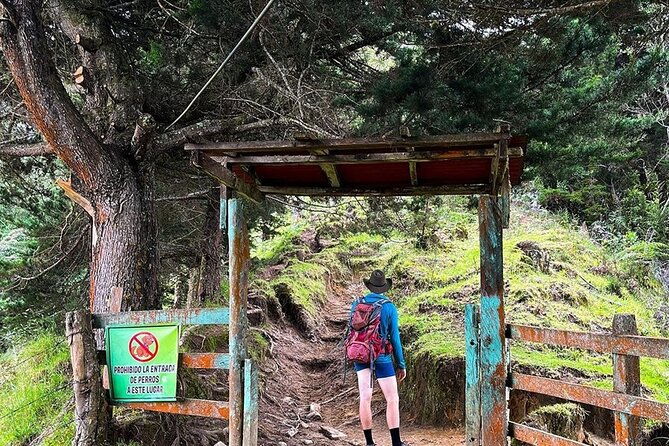 tour-hill-morrogacho-cocora-valley
