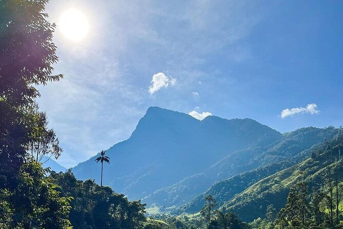 tour-hill-morrogacho-cocora-valley