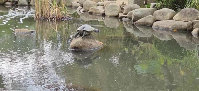 Tour Hiroshima: Explore Its Spiritual & Cultural Treasures - Starting Point: Hiroshima Station