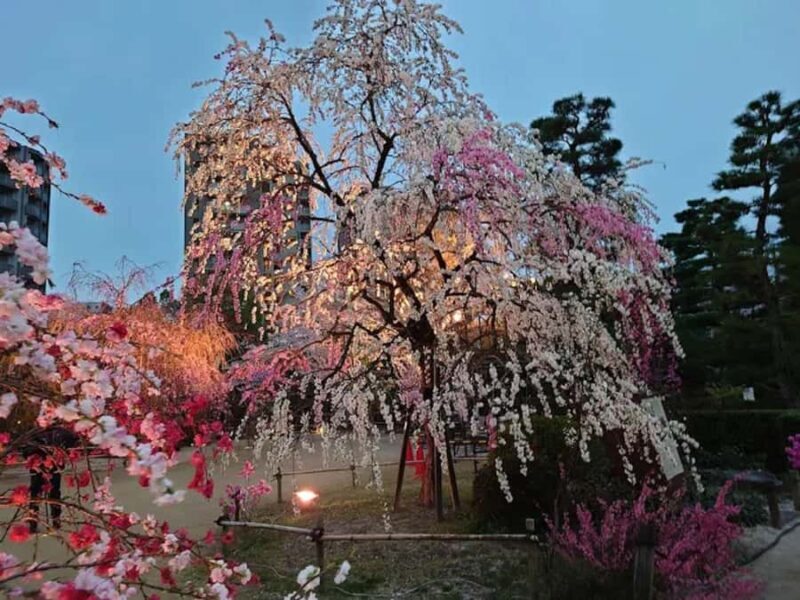 Tour Hiroshima: Explore Its Spiritual & Cultural Treasures - The Scenic Ferry to Miyajima Island