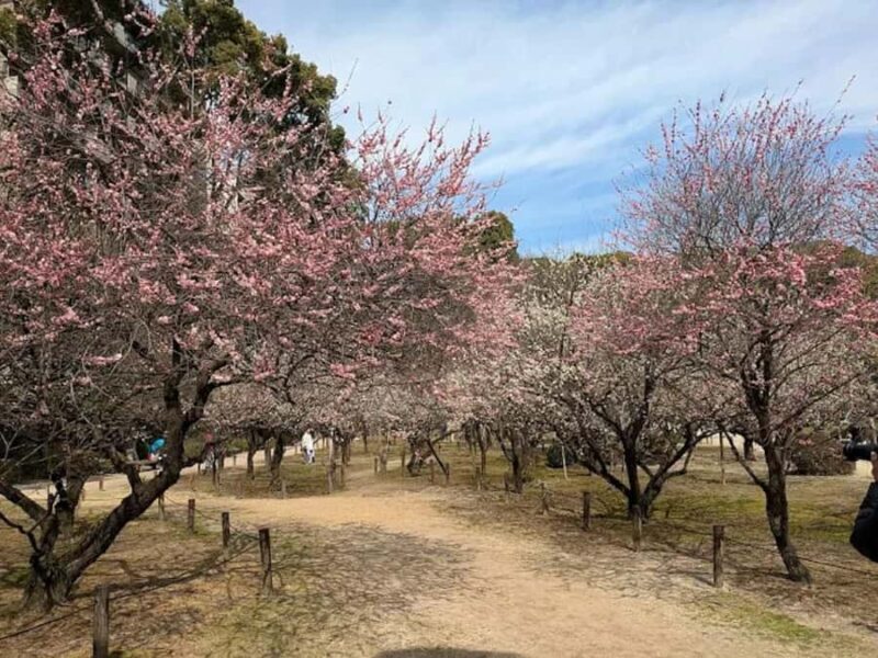 Tour Hiroshima: Explore Its Spiritual & Cultural Treasures - Logistics and Tips