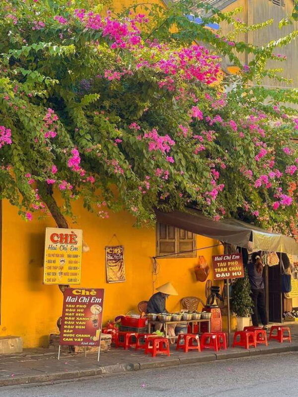 tour-hoi-an-ancient-town-flower-lanterns-coconut-forest