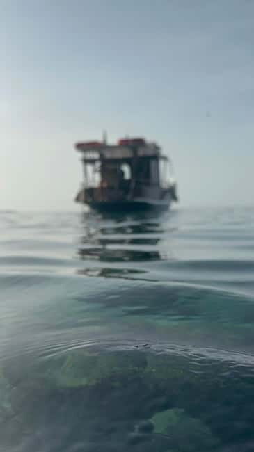 tour in barca con sosta bagno nelle acque di scilla - Analyzing the Value