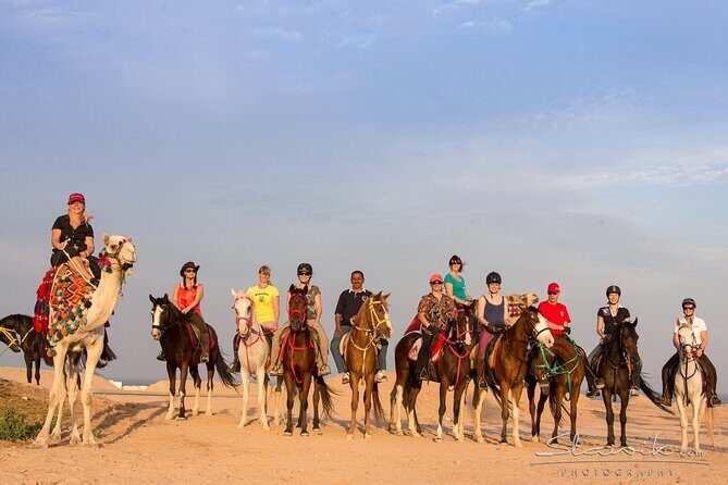 Tour in Hurghada Arabian Night and Star Watching - Practical Details: What to Know Before Booking