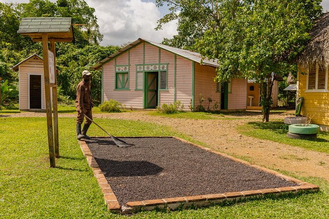 tour-in-la-hacienda-with-sports-activities-and-buffet