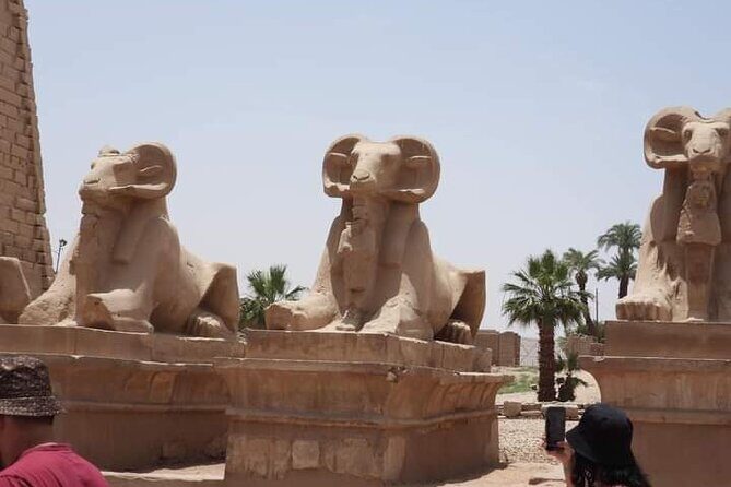 Tour In Luxor From Hurgharda By Bus - The Value of the Tour
