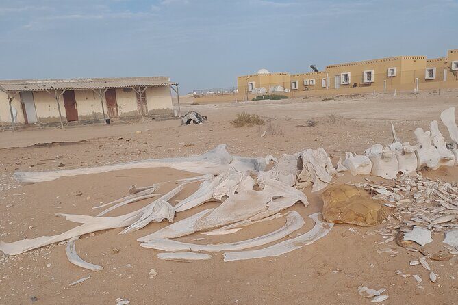 Tour in Mauritania - Authentic Experiences & Cultural Highlights