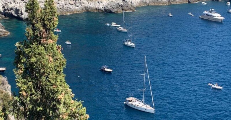 Tour in Minivan Mercedes to Sorrento & Pompeii - Who Should Consider This Tour?