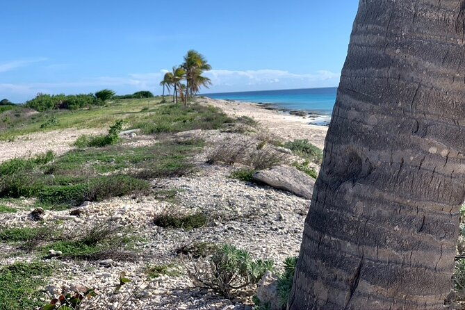 tour-in-north-and-south-bonaire-guided